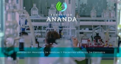 Este fin de semana aprende sobre cannabis medicinal y recreativo en Fundación Ananda