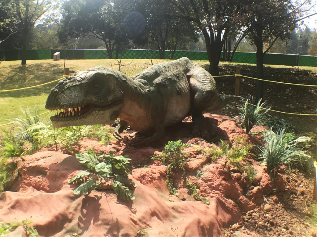 Viajando al pasado en la exhibición más increíble de dinosaurios. – México  a la Carta