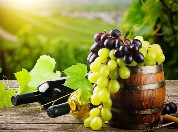 Vinos mexicanos para disfrutar este verano