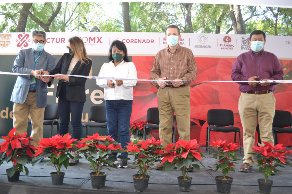 Dio inicio el Festival de la Nochebuena en Avenida Reforma – México a la  Carta