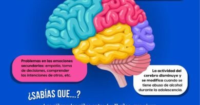 22 de julio: Día Internacional del cerebro.