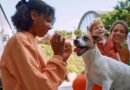 OpenTable revela los top 50 restaurantes pet-friendly en CDMX.