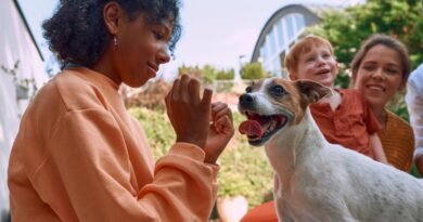 Corazones peludos en riesgo: la Insuficiencia Cardíaca también afecta a tu mejor amigo.