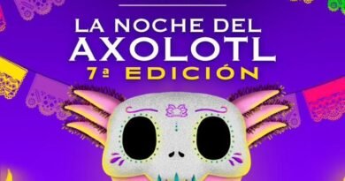 Este fin de semana llega «La noche del Axolotl».