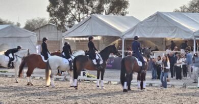 Gran evento de hipismo en Rancho St. Vincent. (7–9 de noviembre)