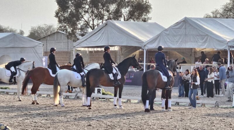 Gran evento de hipismo en Rancho St. Vincent. (7–9 de noviembre)