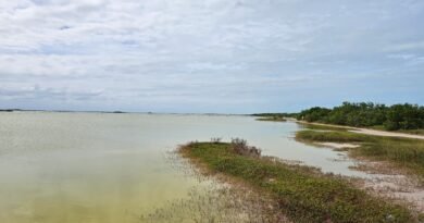 Descubre El Cuyo (Yucatán).