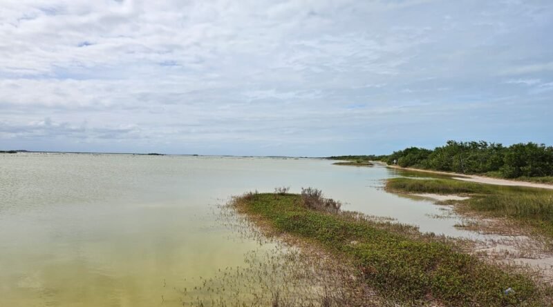 Descubre El Cuyo (Yucatán).