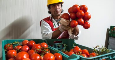 Red BAMX consolida el modelo alimentario más robusto de México y proyecta alcanzar 5 millones de personas beneficiarias para 2028.