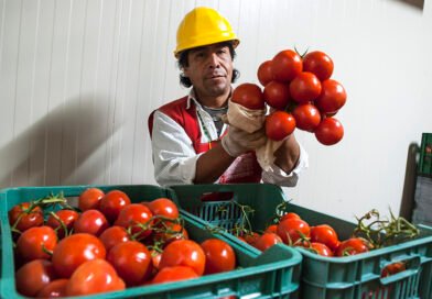 Red BAMX consolida el modelo alimentario más robusto de México y proyecta alcanzar 5 millones de personas beneficiarias para 2028.