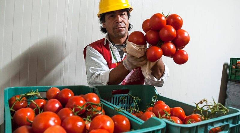 Red BAMX consolida el modelo alimentario más robusto de México y proyecta alcanzar 5 millones de personas beneficiarias para 2028.