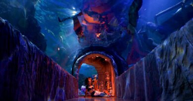 «Sirenas y Tritones» regresan por corta temporada al Acuario Inbursa.