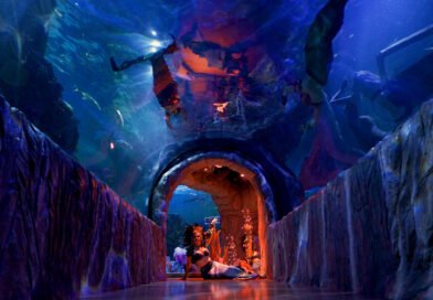 «Sirenas y Tritones» regresan por corta temporada al Acuario Inbursa.