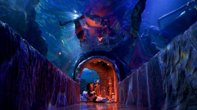 «Sirenas y Tritones» regresan por corta temporada al Acuario Inbursa. «Sirenas y Tritones» regresan por corta temporada al Acuario Inbursa.