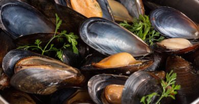 ¿Qué hace especiales a los mejillones de Chile?
