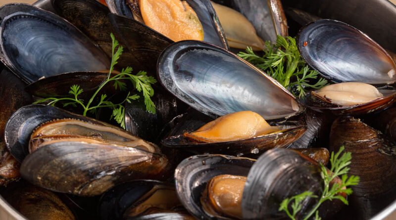 ¿Qué hace especiales a los mejillones de Chile?