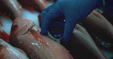 En el día mundial de la inocuidad de los alimentos, Santomar® destaca las prácticas que respaldan la producción segura de sus especies marinas.
