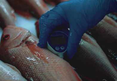 En el día mundial de la inocuidad de los alimentos, Santomar® destaca las prácticas que respaldan la producción segura de sus especies marinas.