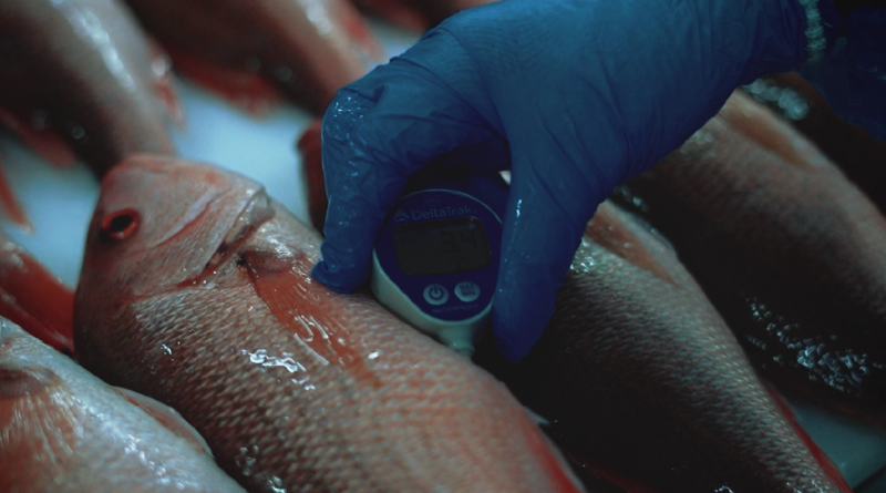 En el día mundial de la inocuidad de los alimentos, Santomar® destaca las prácticas que respaldan la producción segura de sus especies marinas.