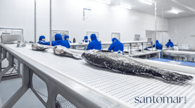 Este día mundial de los océanos, Santomar® reafirma su compromiso con la conservación marina y la acuacultura regenerativa.