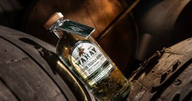 El homenaje al arte y al diseño en México, un brindis con WAHAY, poción herbal.