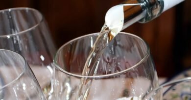 Vinomundo Fest debutará en noviembre con una apuesta por el enoturismo y la cultura del vino.