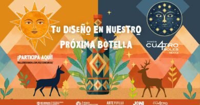 Concurso de Arte Rarámuri Cu4tro Soles, te invita a participar.