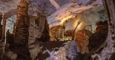 Nuevo León; legado del Mundial con resultados históricos en turismo, economía e inversión.