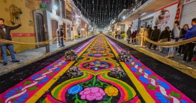 Presentan Feria Internacional del arte efímero y la Dalia, Huamantla 2026.