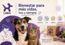 El bienestar de las mascotas va más allá del alimento: prevención, adopción y acciones para una mejor calidad de vida.