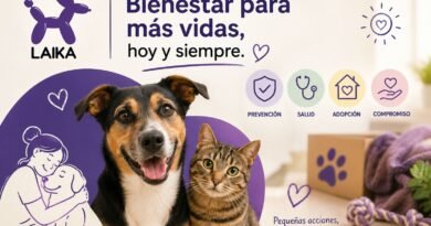 El bienestar de las mascotas va más allá del alimento: prevención, adopción y acciones para una mejor calidad de vida.