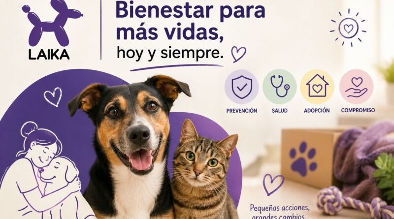 El bienestar de las mascotas va más allá del alimento: prevención, adopción y acciones para una mejor calidad de vida.
