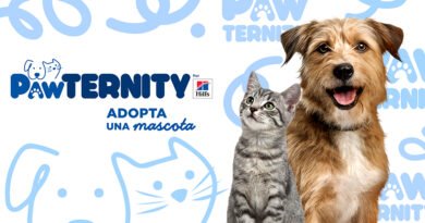 70% de mascotas viven en situación de calle; Hill’s lanza Pawternity para adopciones responsables.
