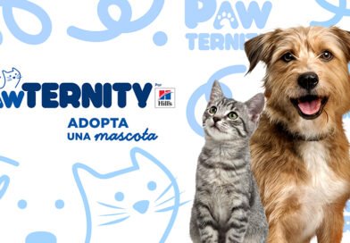 70% de mascotas viven en situación de calle; Hill’s lanza Pawternity para adopciones responsables.