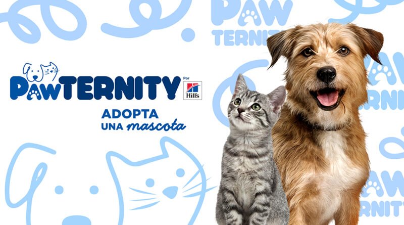 70% de mascotas viven en situación de calle; Hill’s lanza Pawternity para adopciones responsables. 70% de mascotas viven en situación de calle; Hill’s lanza Pawternity para adopciones responsables.